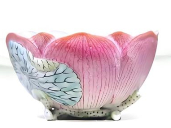 避暑博物馆：荷风莲韵，清凉“一夏”